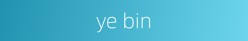 ye bin的同义词