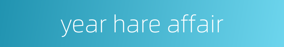 year hare affair的同义词