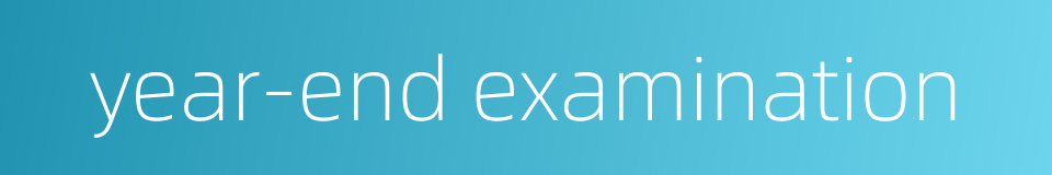 year-end examination的同义词