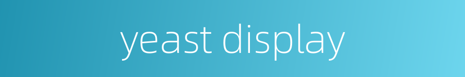 yeast display的同义词