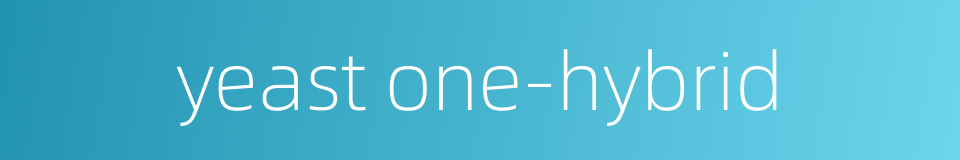 yeast one-hybrid的同义词