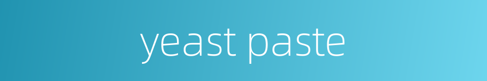 yeast paste的同义词