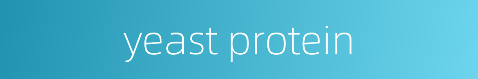 yeast protein的同义词
