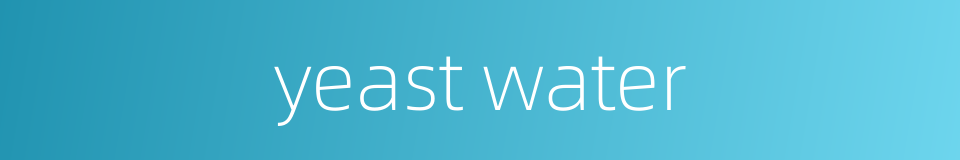 yeast water的同义词