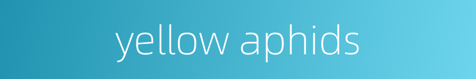 yellow aphids的同义词