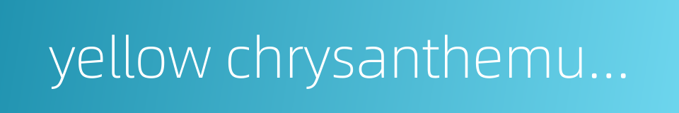 yellow chrysanthemum flower的同义词