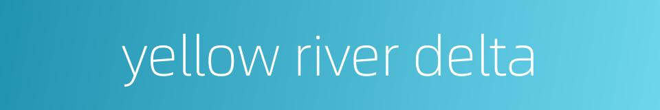 yellow river delta的同义词