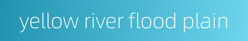 yellow river flood plain的同义词