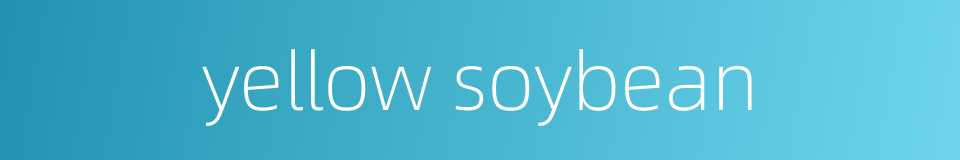 yellow soybean的同义词