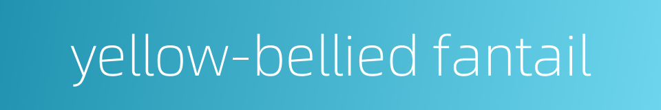 yellow-bellied fantail的同义词