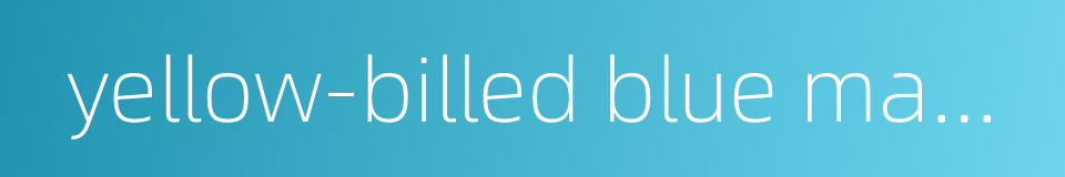 yellow-billed blue magpie的同义词