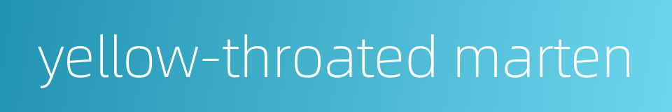 yellow-throated marten的同义词