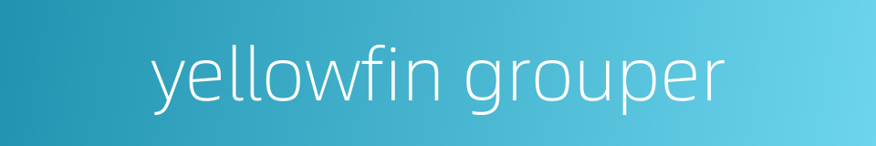 yellowfin grouper的同义词