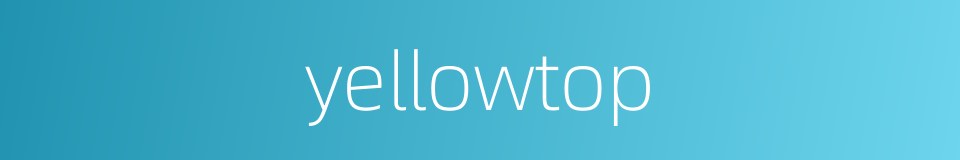 yellowtop的同义词