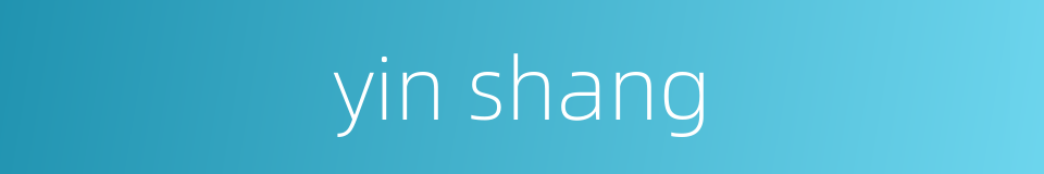 yin shang的同义词