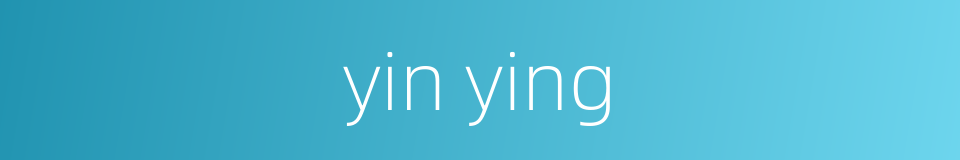 yin ying的同义词