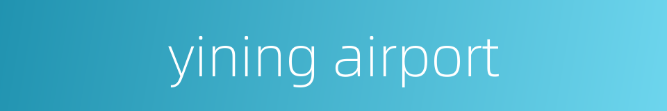 yining airport的同义词