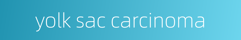 yolk sac carcinoma的同义词