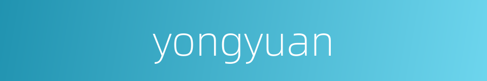 yongyuan的同义词