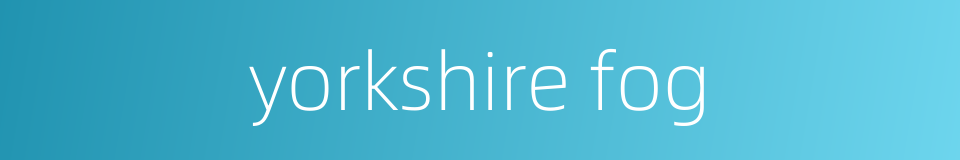 yorkshire fog的同义词