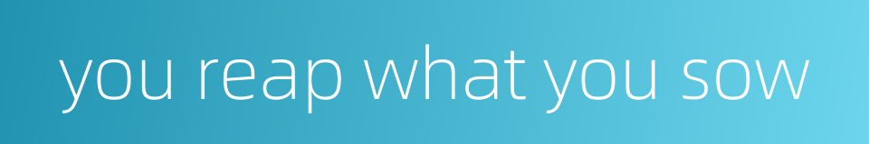 you reap what you sow的同义词
