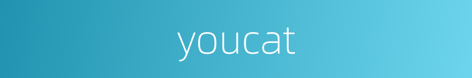 youcat的同义词