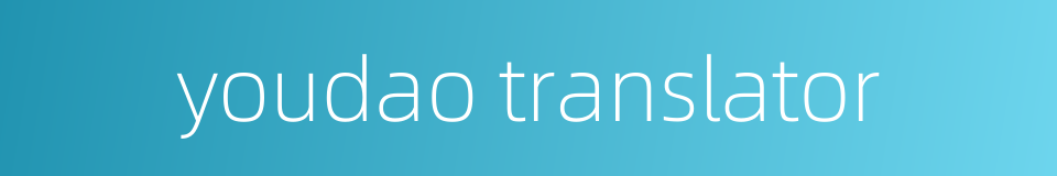 youdao translator的同义词