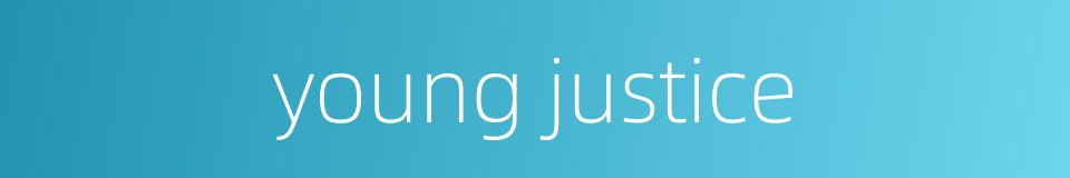 young justice的同义词