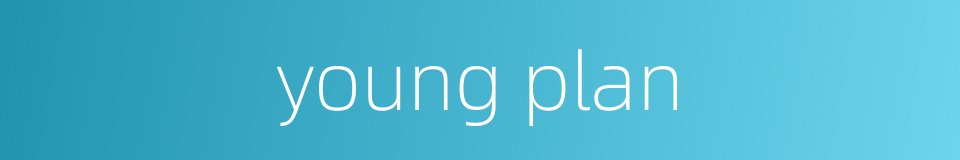 young plan的同义词