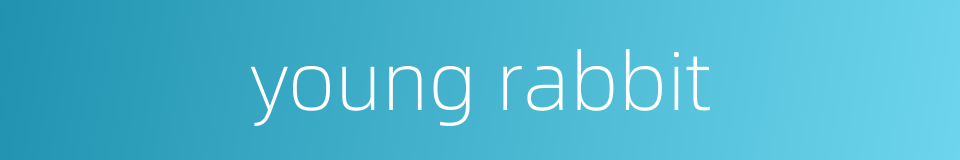 young rabbit的同义词