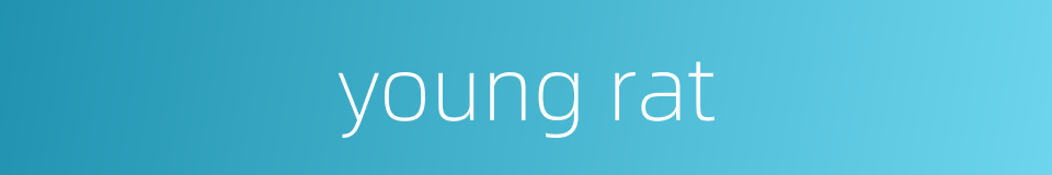 young rat的同义词