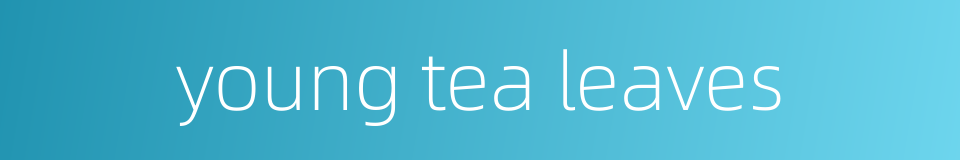 young tea leaves的同义词