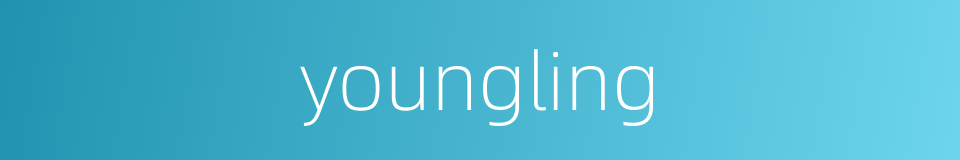 youngling的同义词
