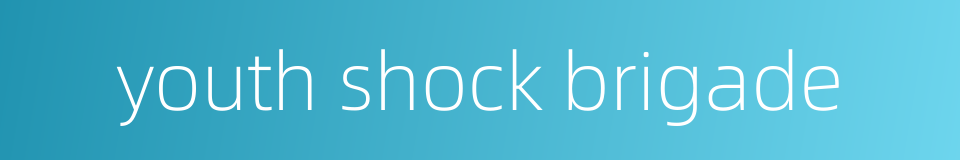 youth shock brigade的同义词