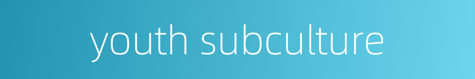 youth subculture的同义词