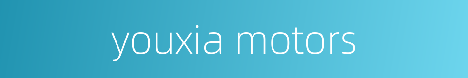 youxia motors的同义词