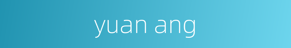 yuan ang的同义词