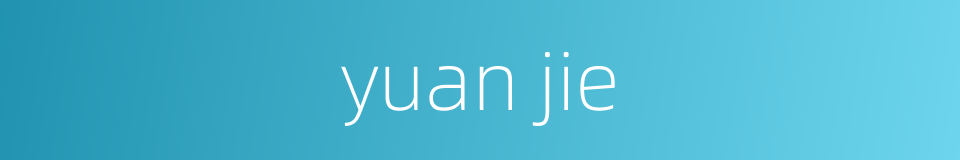 yuan jie的同义词