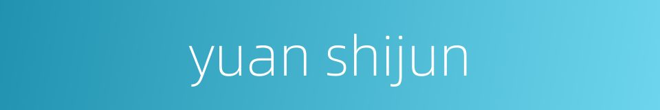 yuan shijun的同义词