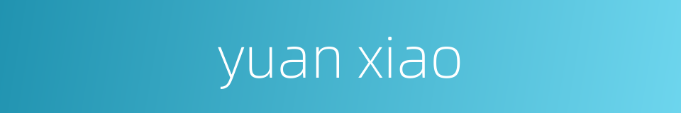 yuan xiao的同义词