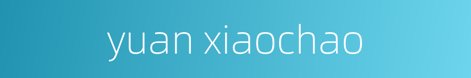 yuan xiaochao的同义词