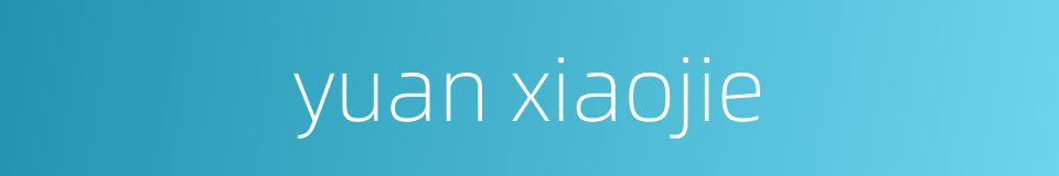 yuan xiaojie的同义词
