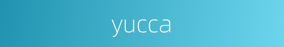yucca的同义词