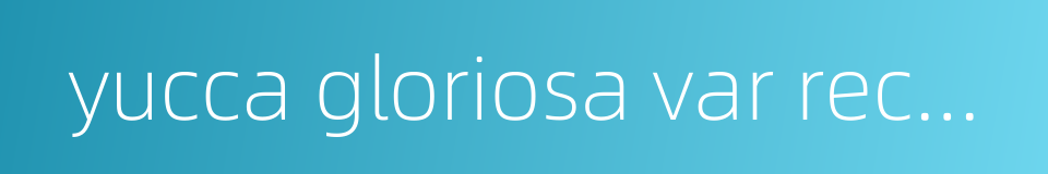 yucca gloriosa var recuvifolia的同义词