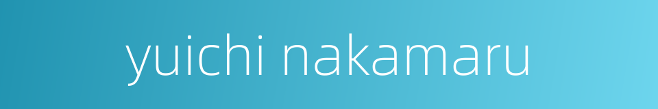 yuichi nakamaru的同义词