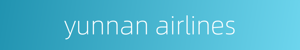 yunnan airlines的同义词