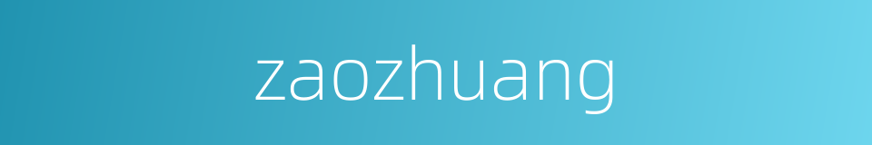 zaozhuang的同义词