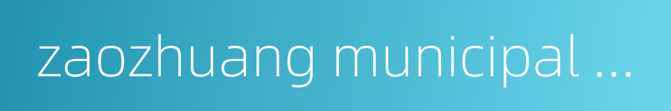 zaozhuang municipal hospital的同义词