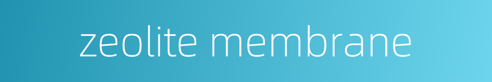 zeolite membrane的同义词