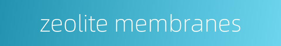 zeolite membranes的同义词